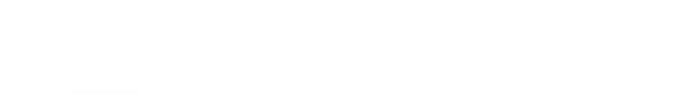 logo light